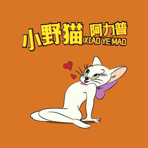 小野猫N在哪里下载？官方正版下载地址