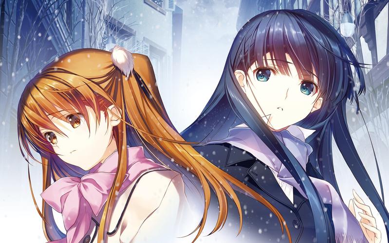 如何下载白色相簿合集？避开病毒和失效链接