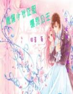 公主与征服汉化版最新更新:新增内容抢先看!