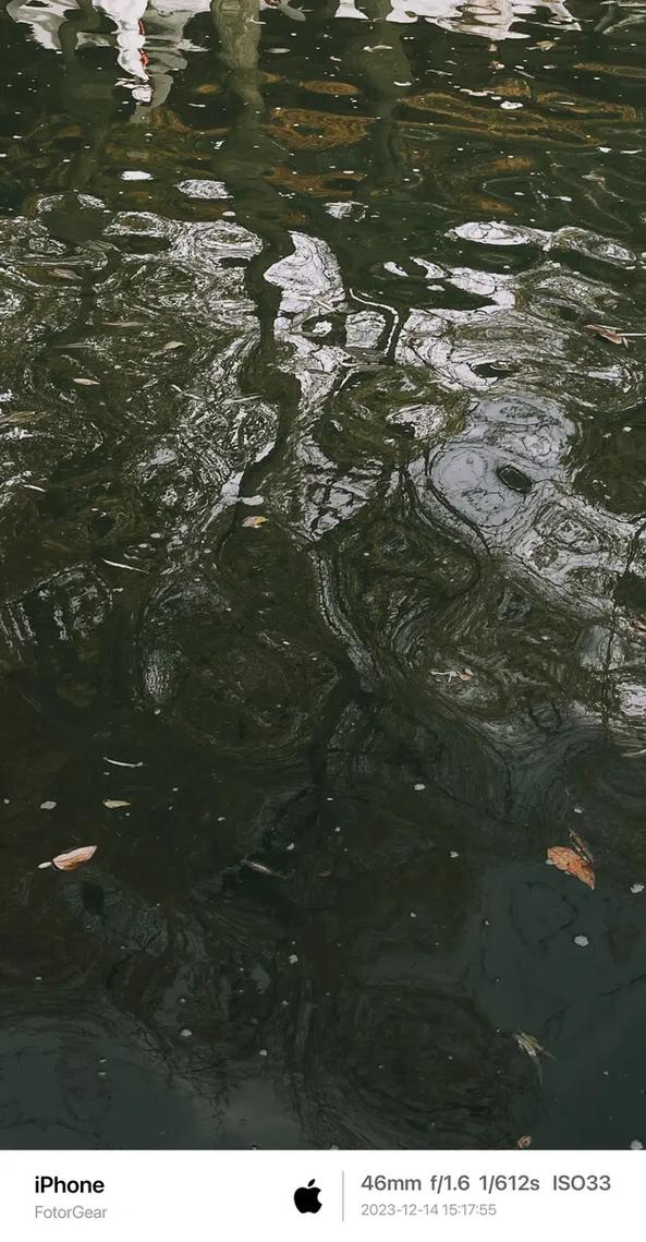 涟漪更新地址是多少？一分钟教你找到新地址！