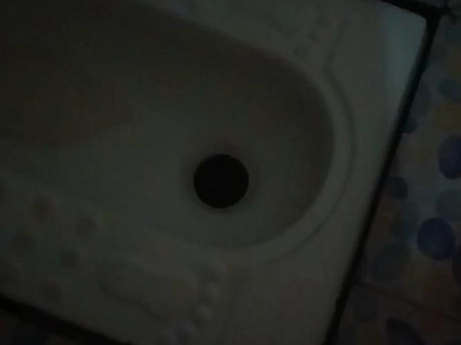 厕所里奇怪的声音最新版本是多少?(最新公告查看步骤分享)