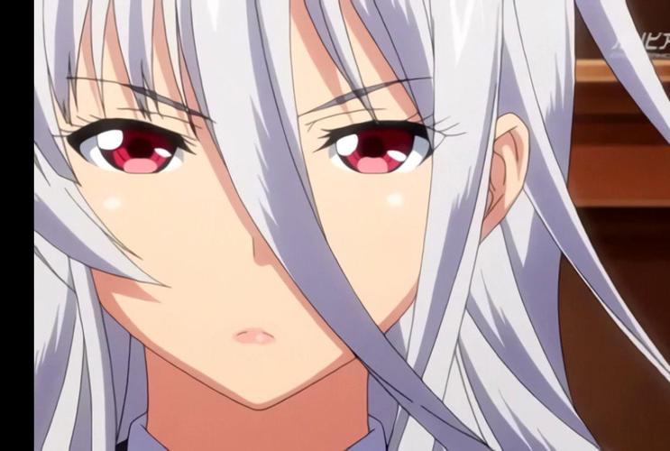 圣布伦希尔特学园少女骑士团和纯白胖次最新评测如何?(用户评分高口碑爆棚!)