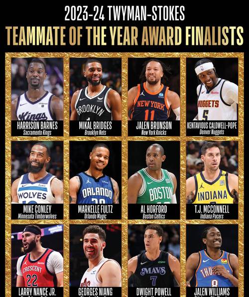 大学篮球巨星下载地址怎么找?实用教程带你快速获取!