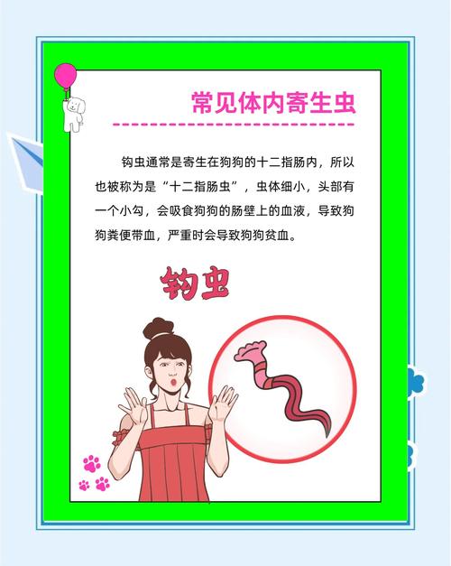 内部寄生虫官方网站：全面了解与防治指南，守护健康！