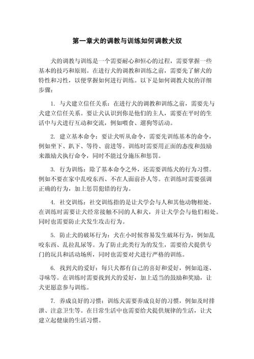 奴隶训练最新经验心得？老司机分享技巧提升效率！