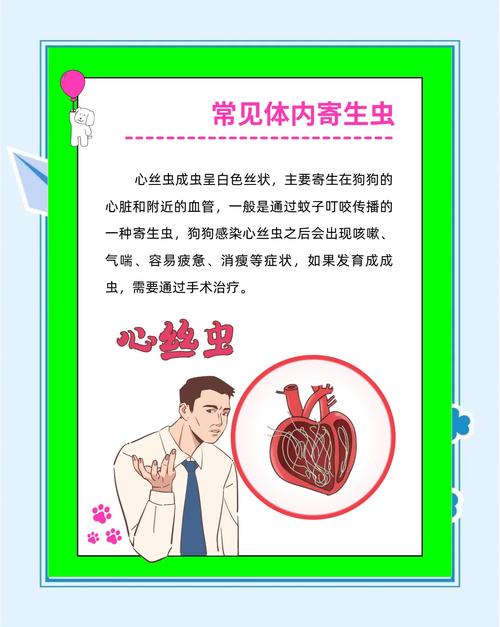 内部寄生虫官方网站：全面了解与防治指南，守护健康！