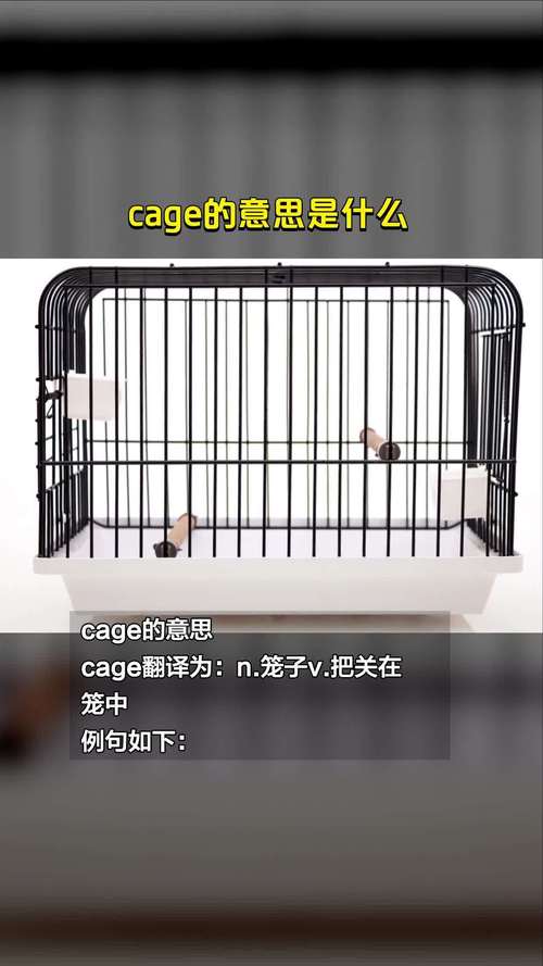 CageofTentacles更新地址怎么使用？简单教程轻松入门！