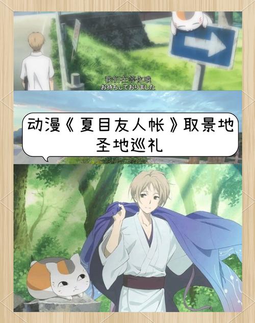 夏目友人帐官网注册流程?新手快速入门指南必看!