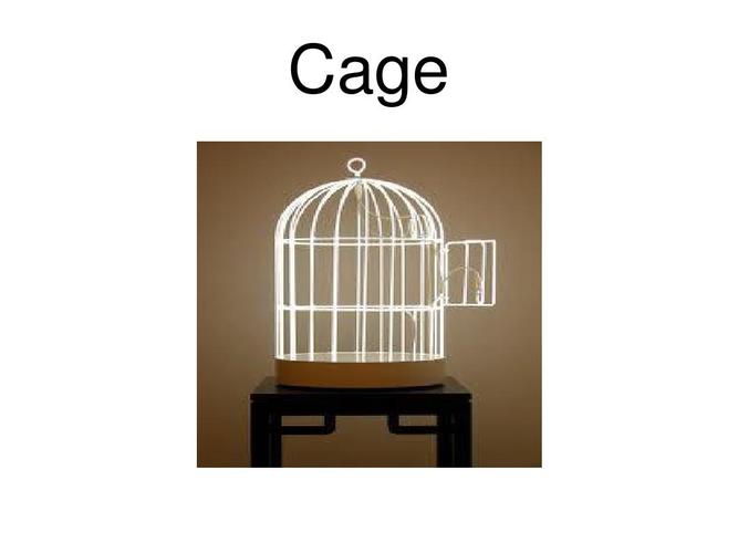 CageofTentacles更新地址怎么使用？简单教程轻松入门！