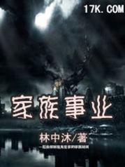 家族事业汉化版下载速度快吗？优化下载小技巧提升效率