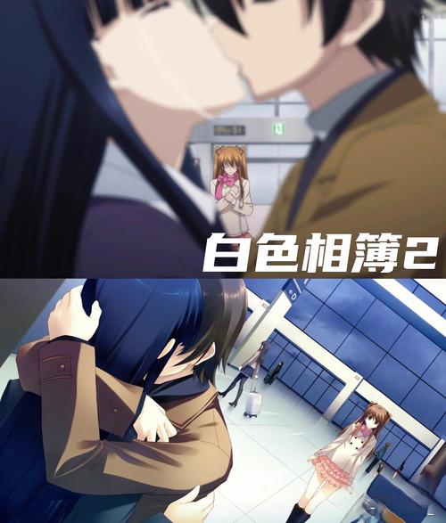 白色相簿合集汉化版最新更新内容是什么？(新功能全解析)