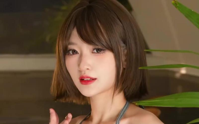 庭树沐年最新版本对比旧版?(详细分析哪个更值得玩)