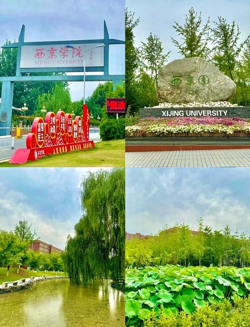 西景学院安卓就业前景如何?深度剖析行业薪资现状