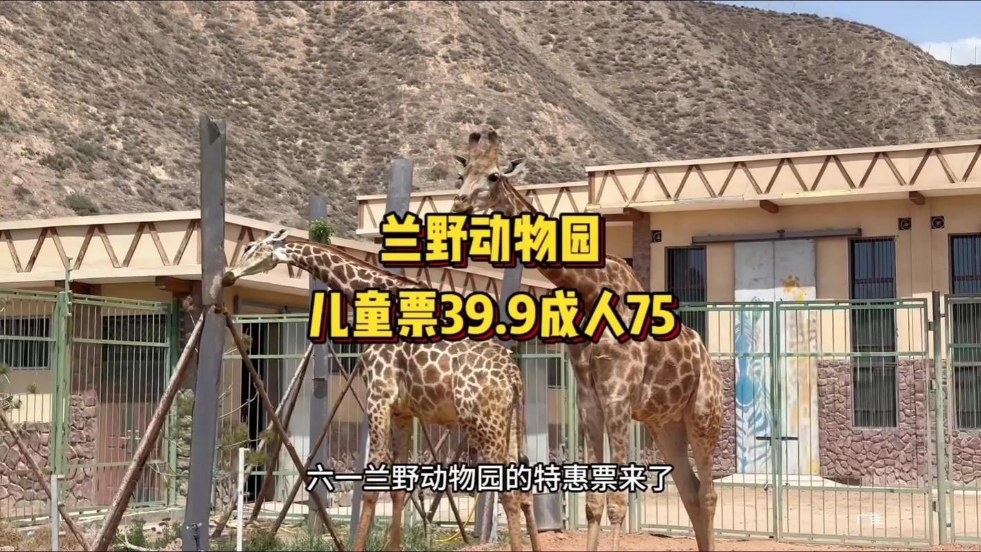 蓝宝石野生动物园版本大全怎么玩？(技巧分享轻松拿高分)