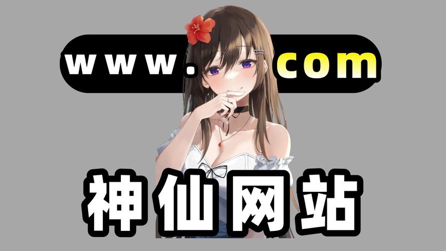 午夜撒娇官方网站使用方法教程？新手必备三步上手！