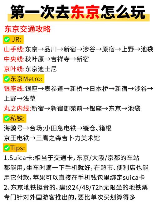 SOB东京热游戏介绍:真实度爆表,让你欲罢不能!