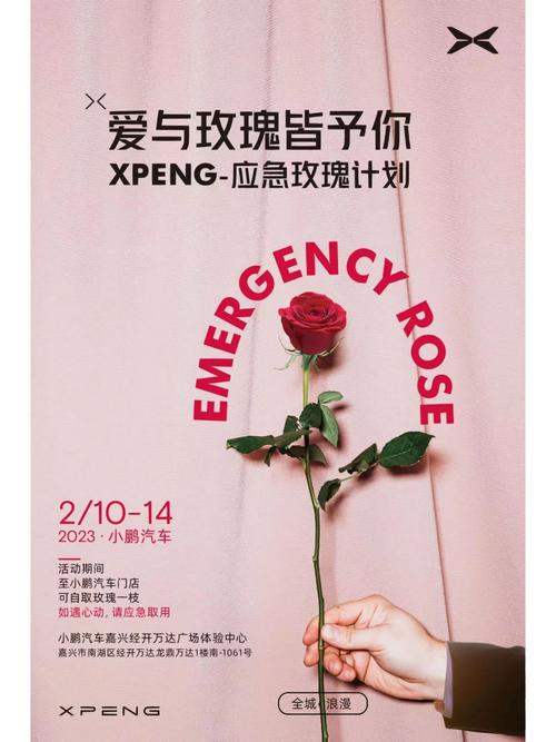 玫瑰行动最新版本怎么升级？简单三步完成安装