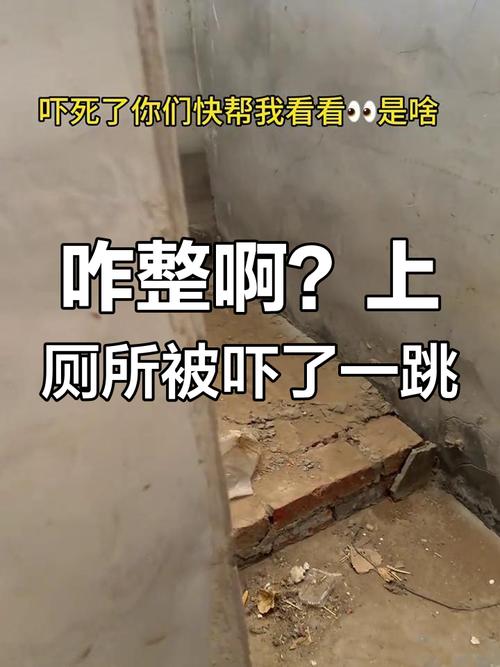厕所里奇怪的声音最新版本是多少?(最新公告查看步骤分享)